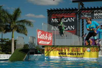 2017 Hogs and Air Dogs 80.JPG