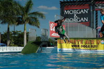 2017 Hogs and Air Dogs 81.JPG