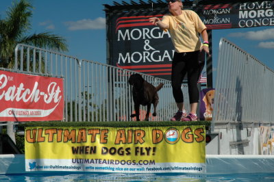 2017 Hogs and Air Dogs 84.JPG