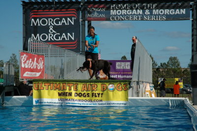 2017 Hogs and Air Dogs 88.JPG