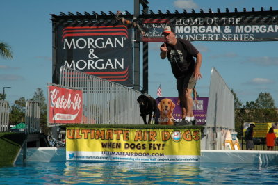 2017 Hogs and Air Dogs 89.JPG