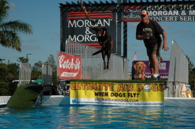 2017 Hogs and Air Dogs 90.JPG