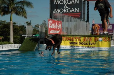 2017 Hogs and Air Dogs 91.JPG