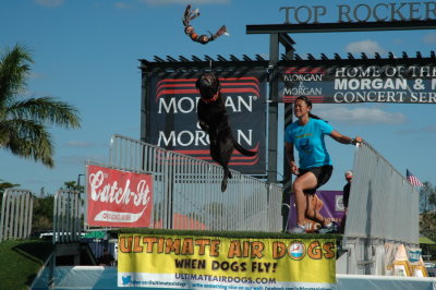 2017 Hogs and Air Dogs 93.JPG