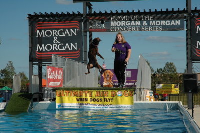 2017 Hogs and Air Dogs 94.JPG