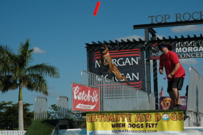 2017 Hogs and Air Dogs 96.JPG