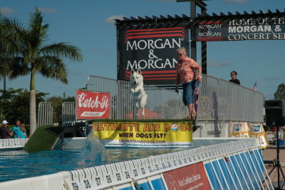 2017 Hogs and Air Dogs 98.JPG
