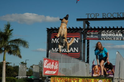 2017 Hogs and Air Dogs Competition