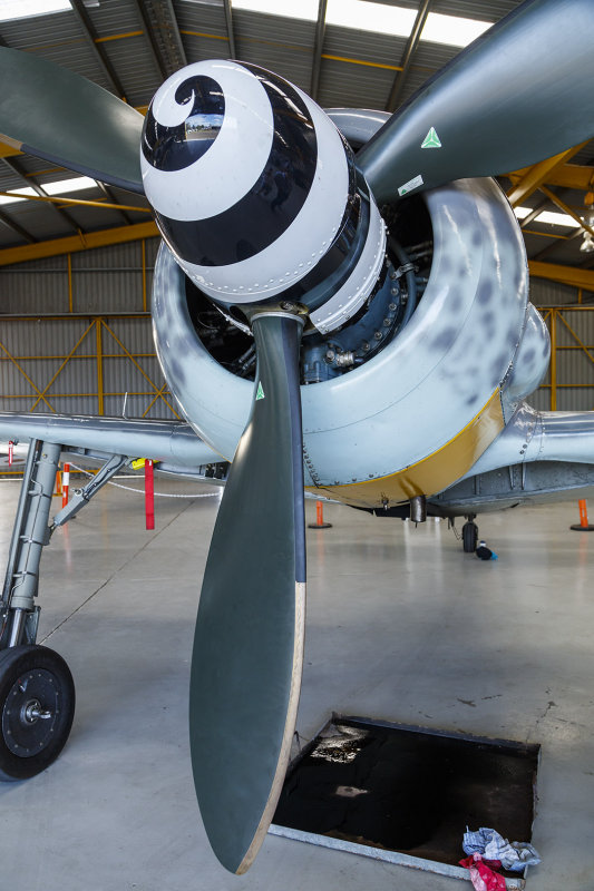 Focke Wulf FW-190
