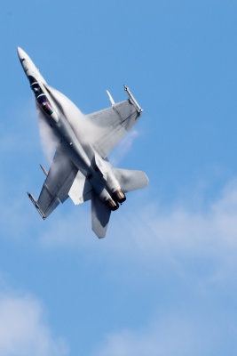 F/A-18 Super Hornet 