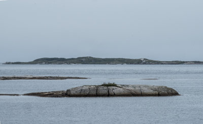 Pinchard's Island, in background, where an ancestor settled in 1828