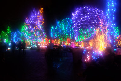 Vancouver Festival of Lights