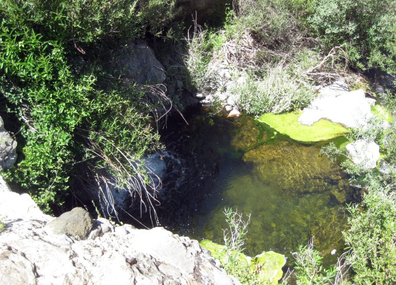 The Pool beneath It