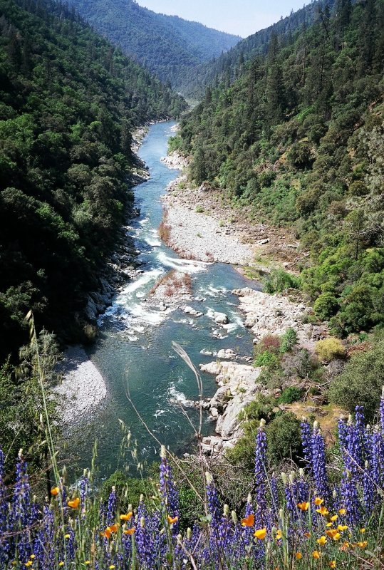 The Shirttail Run on the North Fork of the American