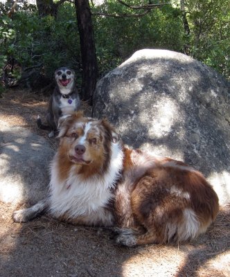 Sammy and Skye Lea on Vacation Play in the Sierras