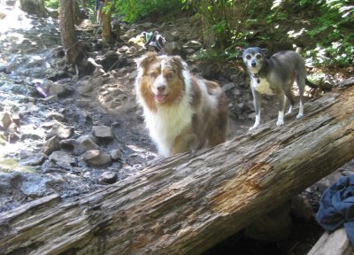 Skye Lea and Little Guy Sammy at Umpqua Hot Springs