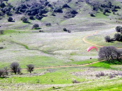 Rich Staudinger Swooping Past Hikers at Cronin Ranch