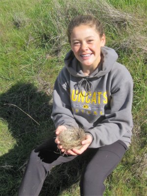 Emma Creates a Bird's Nest :)