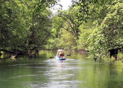 A Typical Scene Floating the Mokelumne to Clements