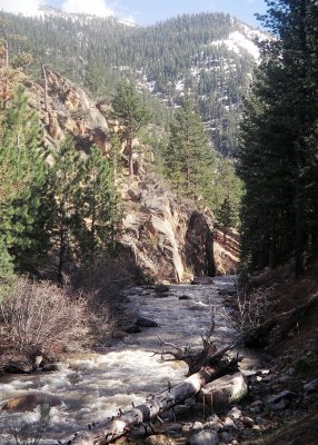 Wolf Creek (A Tributary of the East Fork of the Carson)