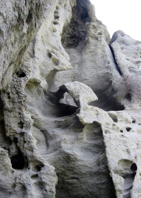 A Sculpted Cliff along the Snake 