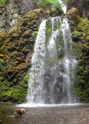 Skye Lea at Fall Creek Falls