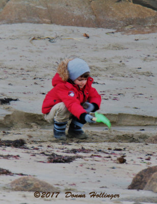 Child Playing on a Rockport Beach in February