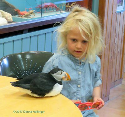 Toti the puffin and a little girl!