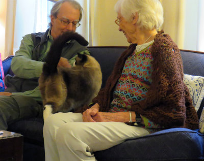 Peter Petting Lilicat and Martha