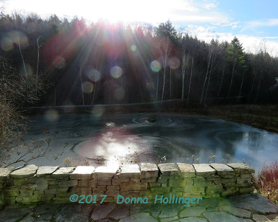 Pond after a rainfall froze over