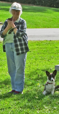 Martha and Her Cardigan Corgie