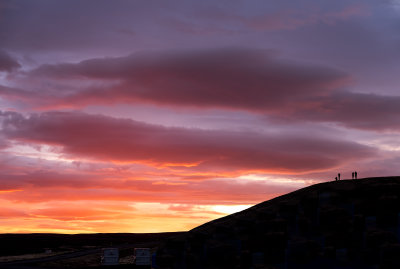 _DSF0731.jpg