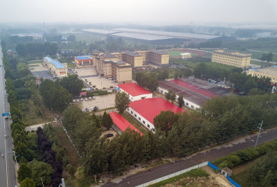 SDWY Factory 2018