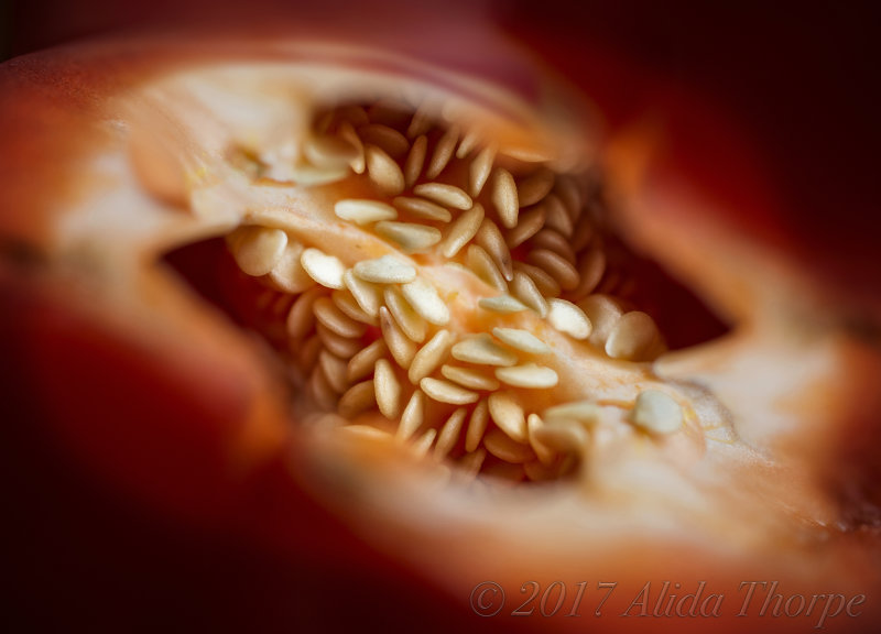 red pepper macro