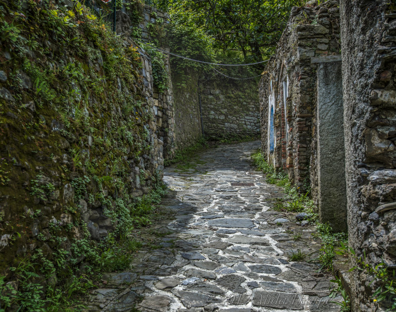 Trail in Monterosso