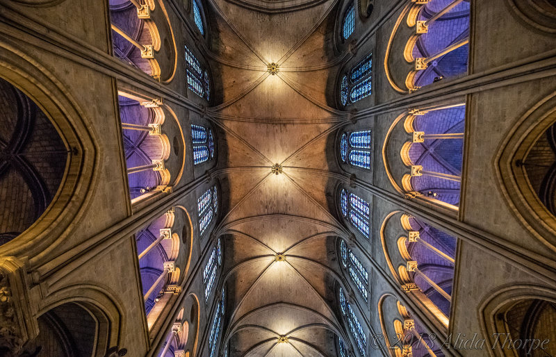 Notre-Dame Ceiling