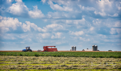 Mennonites