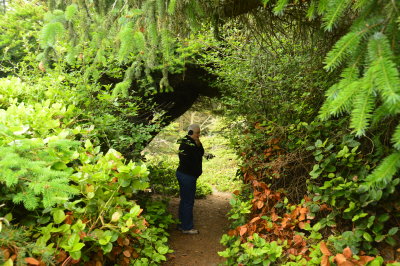 Path at Joseph Whidbey State Park