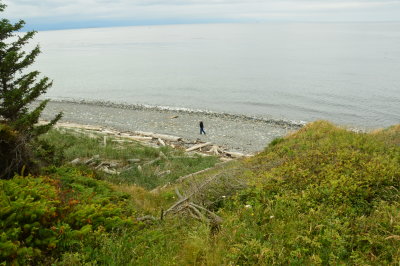 Beachcomber at Joseph Whidbey State Park