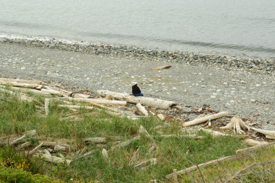 Resting beachcomber at Joseph Whidbey State Park