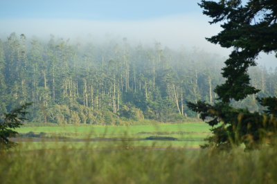 Ebey's Landing National Historical Reserve
