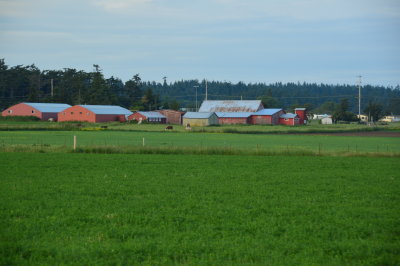 Ebey's Landing National Historical Reserve