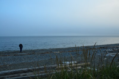 Beachcomber at Ebey's Landing State Park