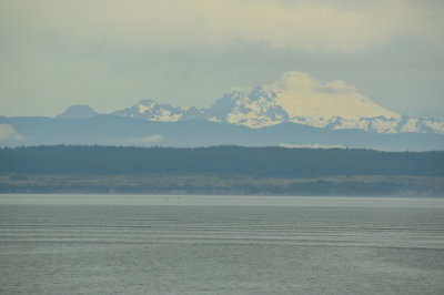 Mt. Baker