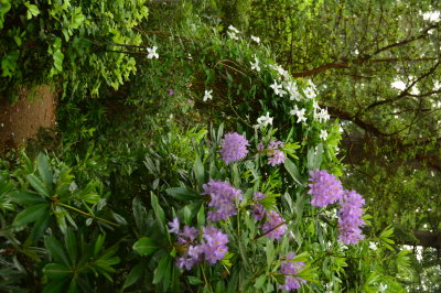 Meerkerk Gardens