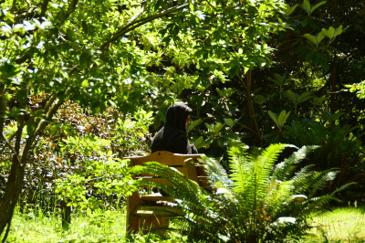 Meerkerk Gardens