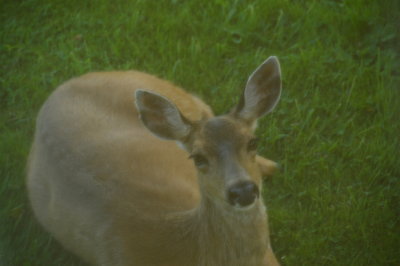 From our bedroom window
