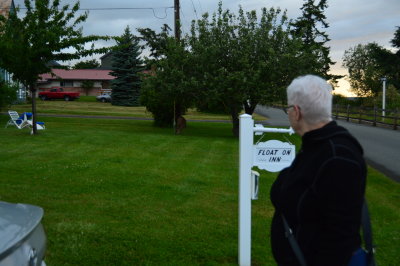 In the front yard of where we stayed; see the deer?