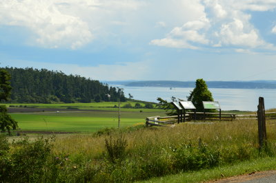 view from Sunnyside Cemetery