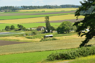 view from Sunnyside Cemetery